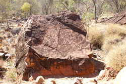 petroglyphes