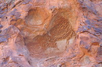 petroglyphes