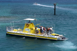 vehicule panoramique