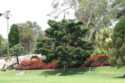 botanic garden