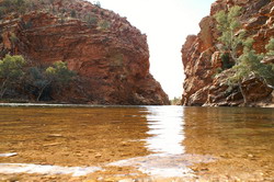 ellery creek