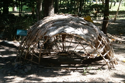 Hutte traditionelle Aborig�ne