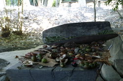 nourriture aborigenes