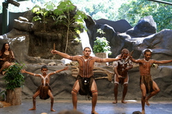 representation tjapukai