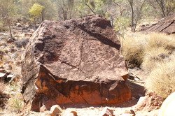 petroglyphes