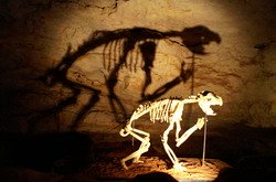 fossile pr�historique