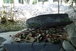 nourriture aborigenes