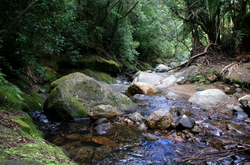 wentworht valley