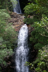 wentworht falls