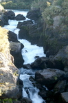 lach� d'eau aratiatia