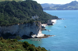 cathedrale cove