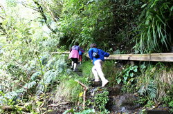 marche a dawson fALLS
