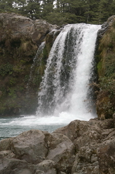 falls tawhai