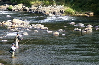 p�che � la truite