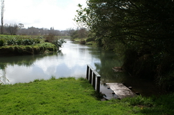 rivi&egrave;re uretara