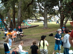 omokoroa jeux enfants