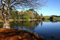 parc mac laren
