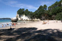 plage cathedrale cove