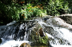 puketoki cascade