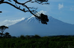 taranaki