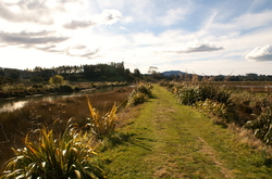 marche uretara