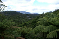 valle volcanique
