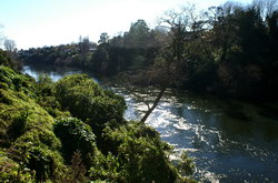 waikato river